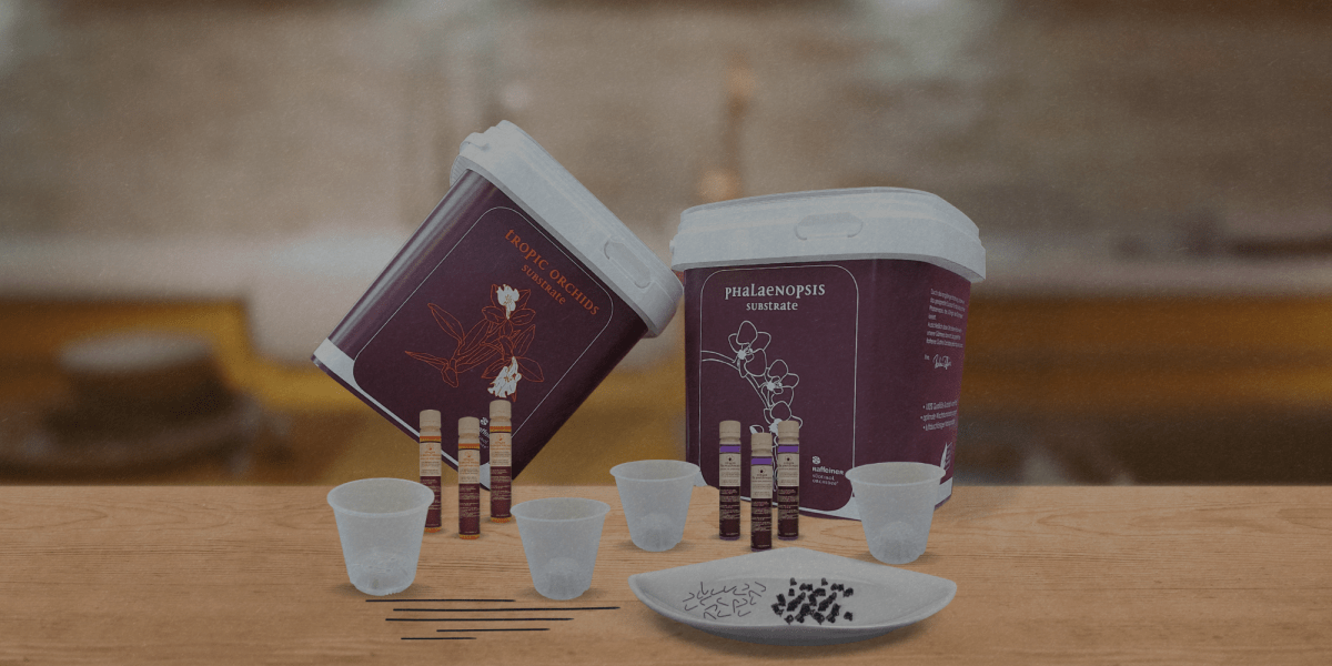 CURA ORCHIDEE: Materiali ed utilizzo! - Flogheter