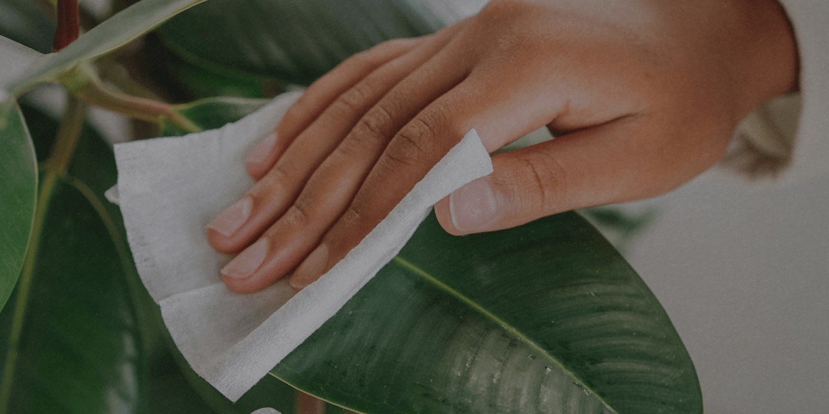 Lucidatura: E' solo estetica o ha anche un valore curativo? - Flogheter