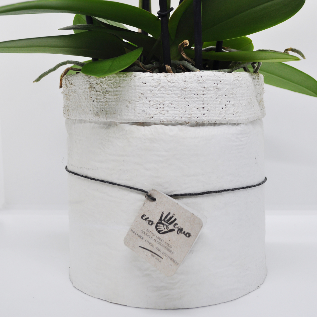 Vaso Collezione "Puglia" 9cm