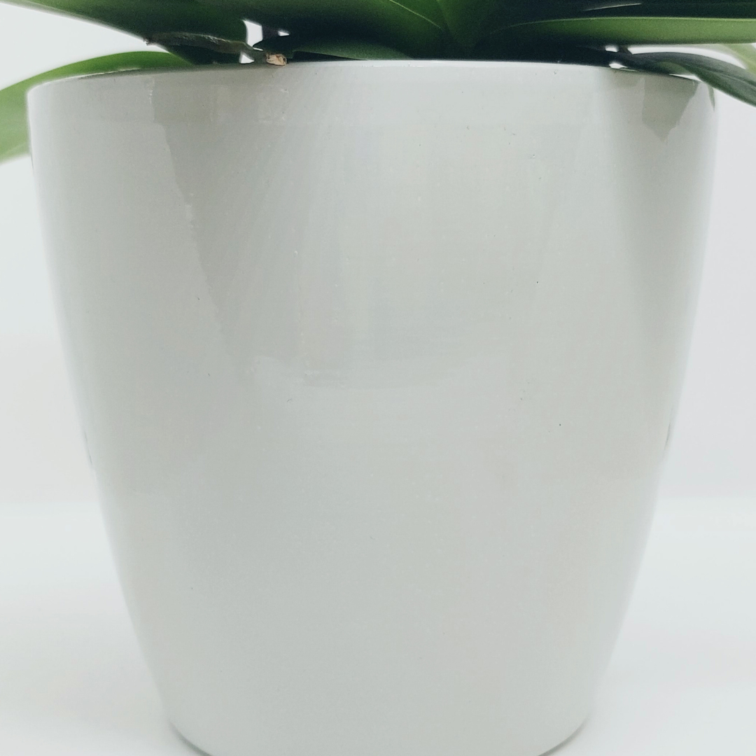 Vaso Ceramica "Milano" Ghiaccio 14cm