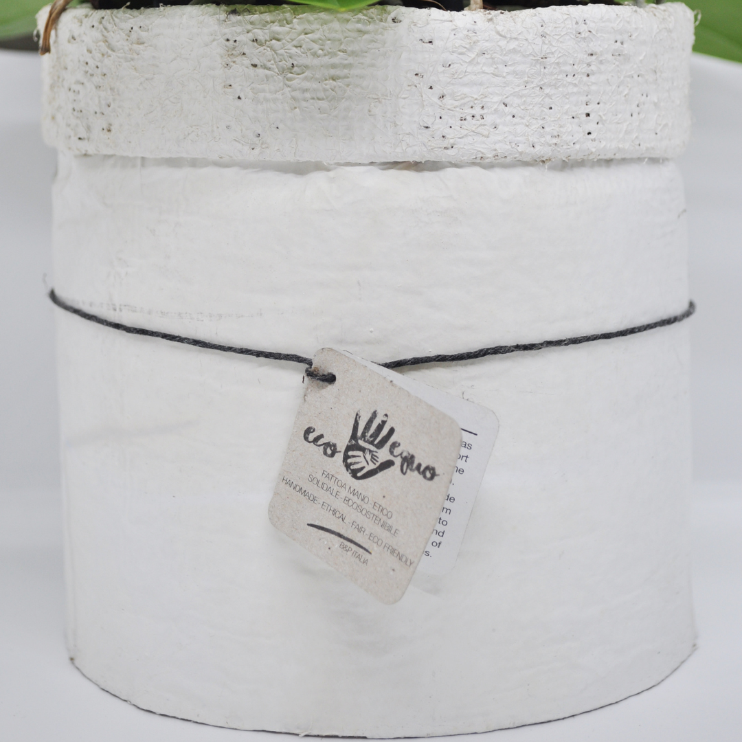 Vaso Collezione "Puglia" 9cm