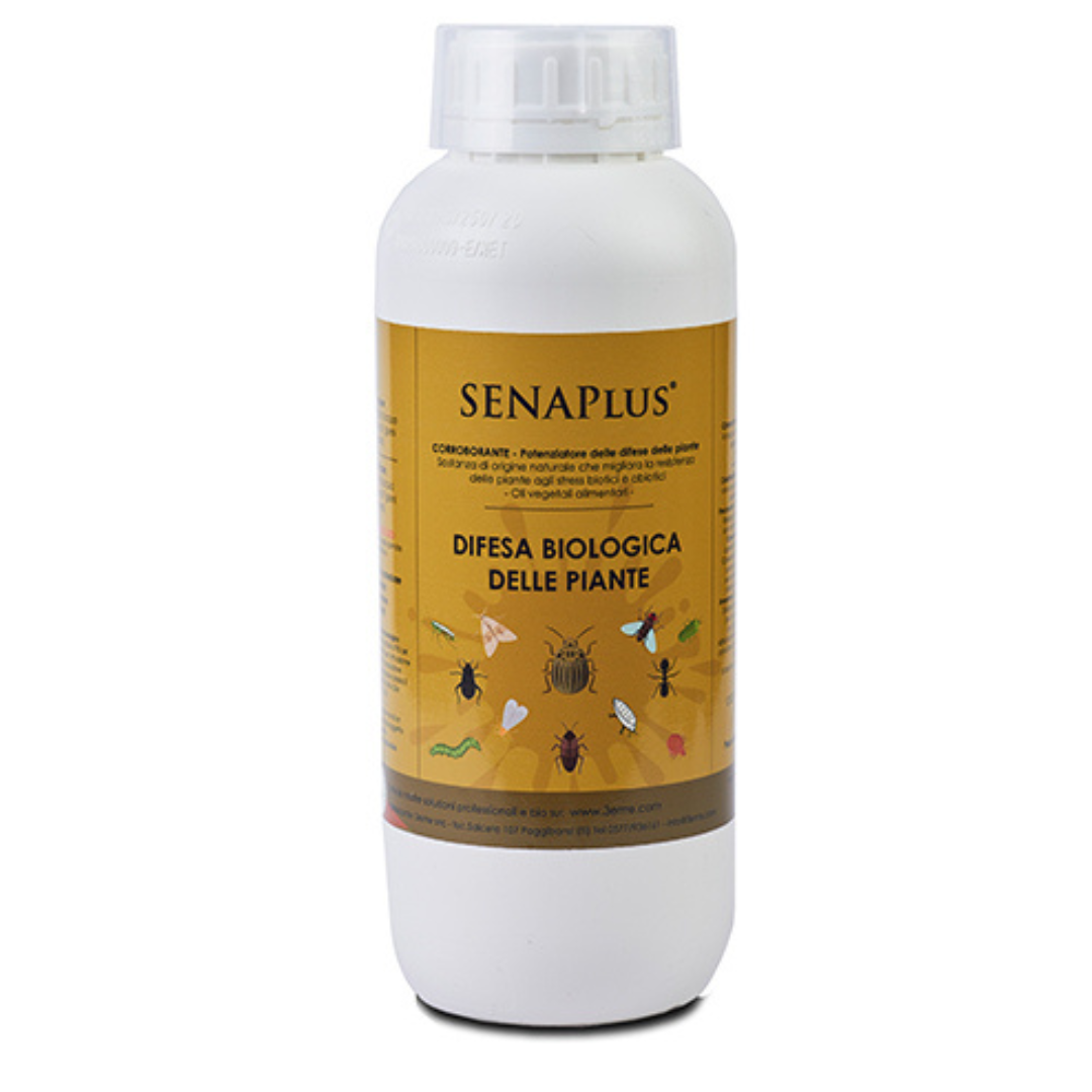 Senaplus