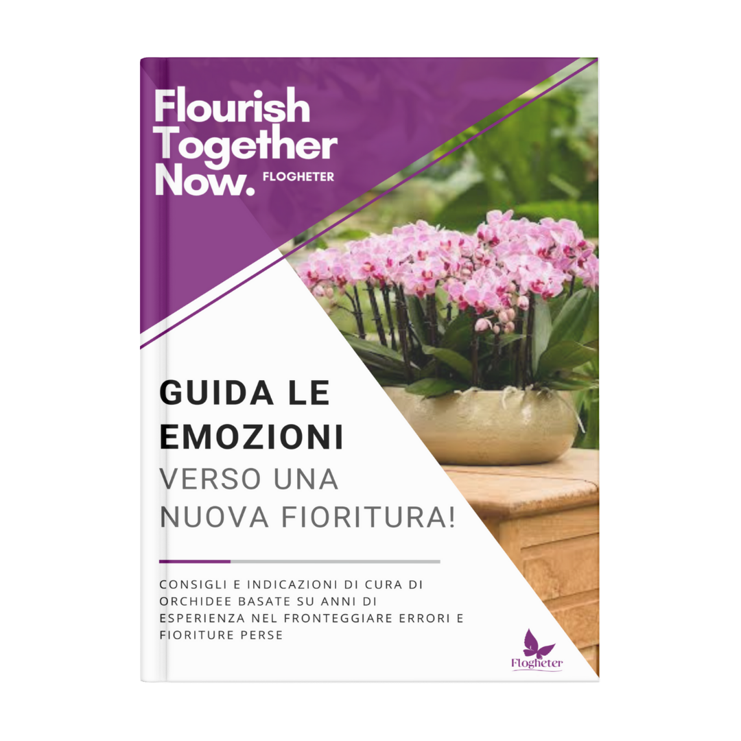 Box del coltivatore perfetto