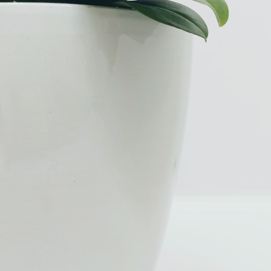 Vaso Ceramica "Milano" Ghiaccio 14cm