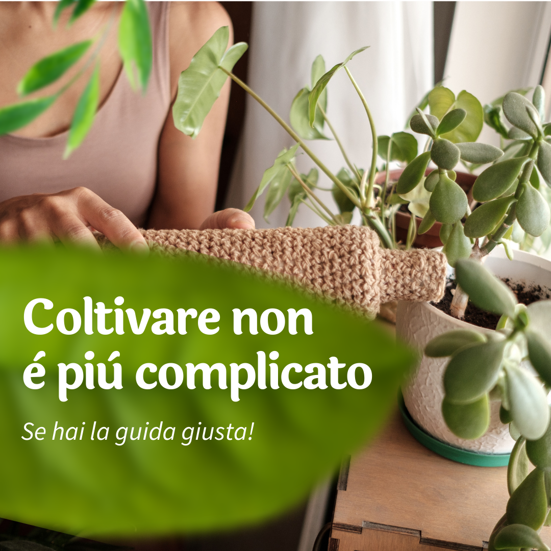 Da 0 a Pollice Verde