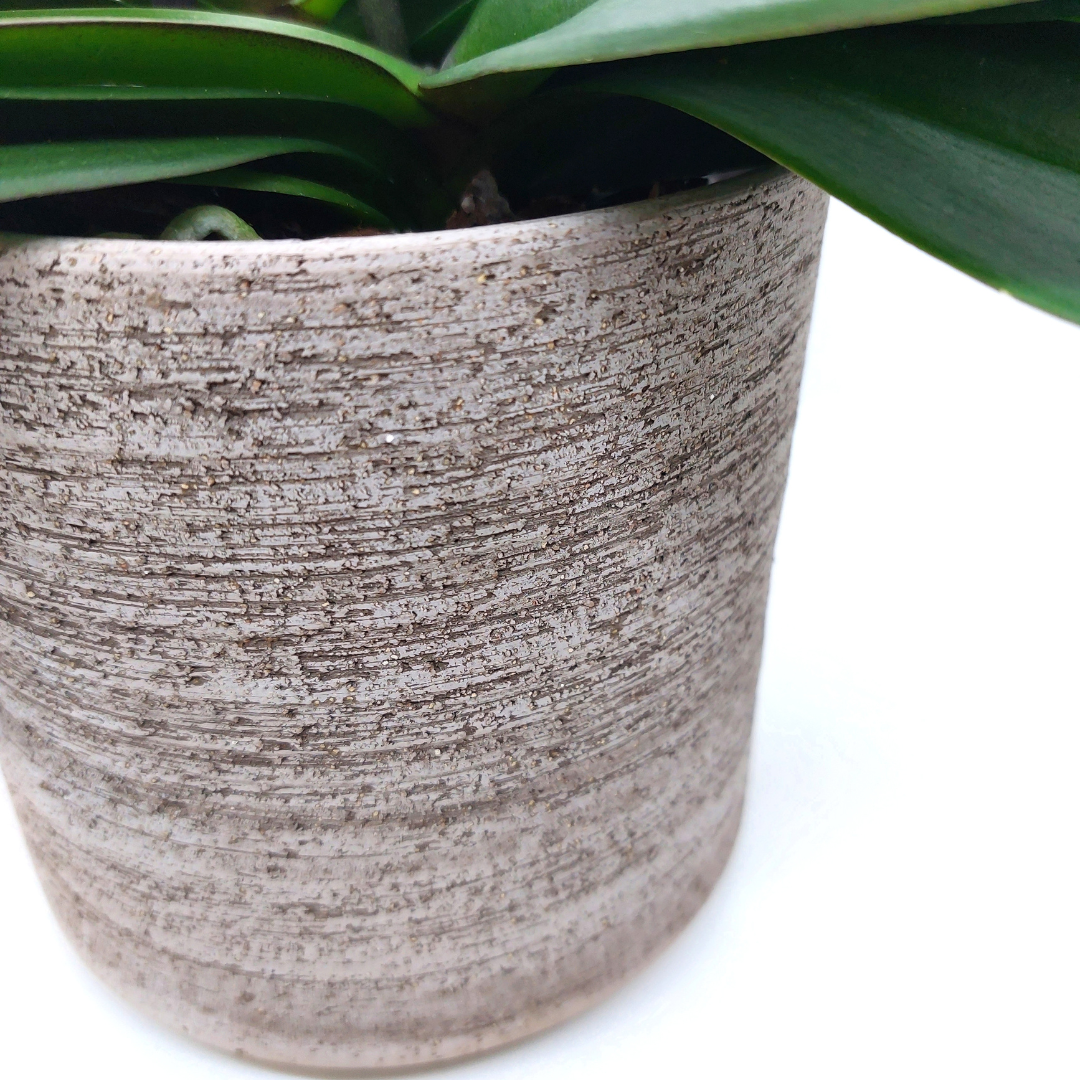 Vaso Ceramica "Etruria" Classico 21cm