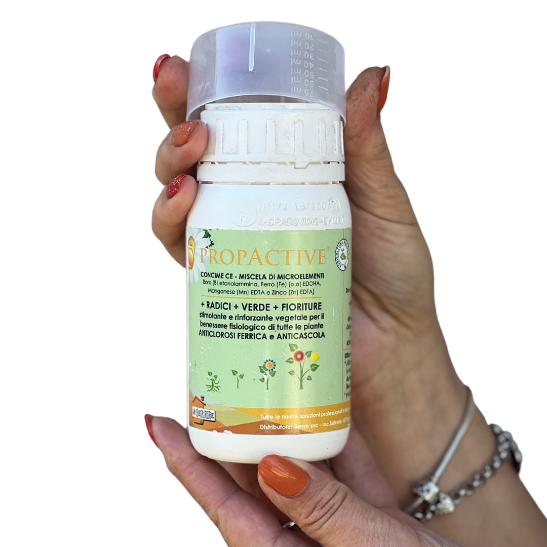 Propactive