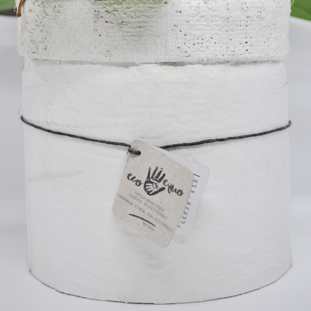 Vaso Collezione "Puglia" 9cm