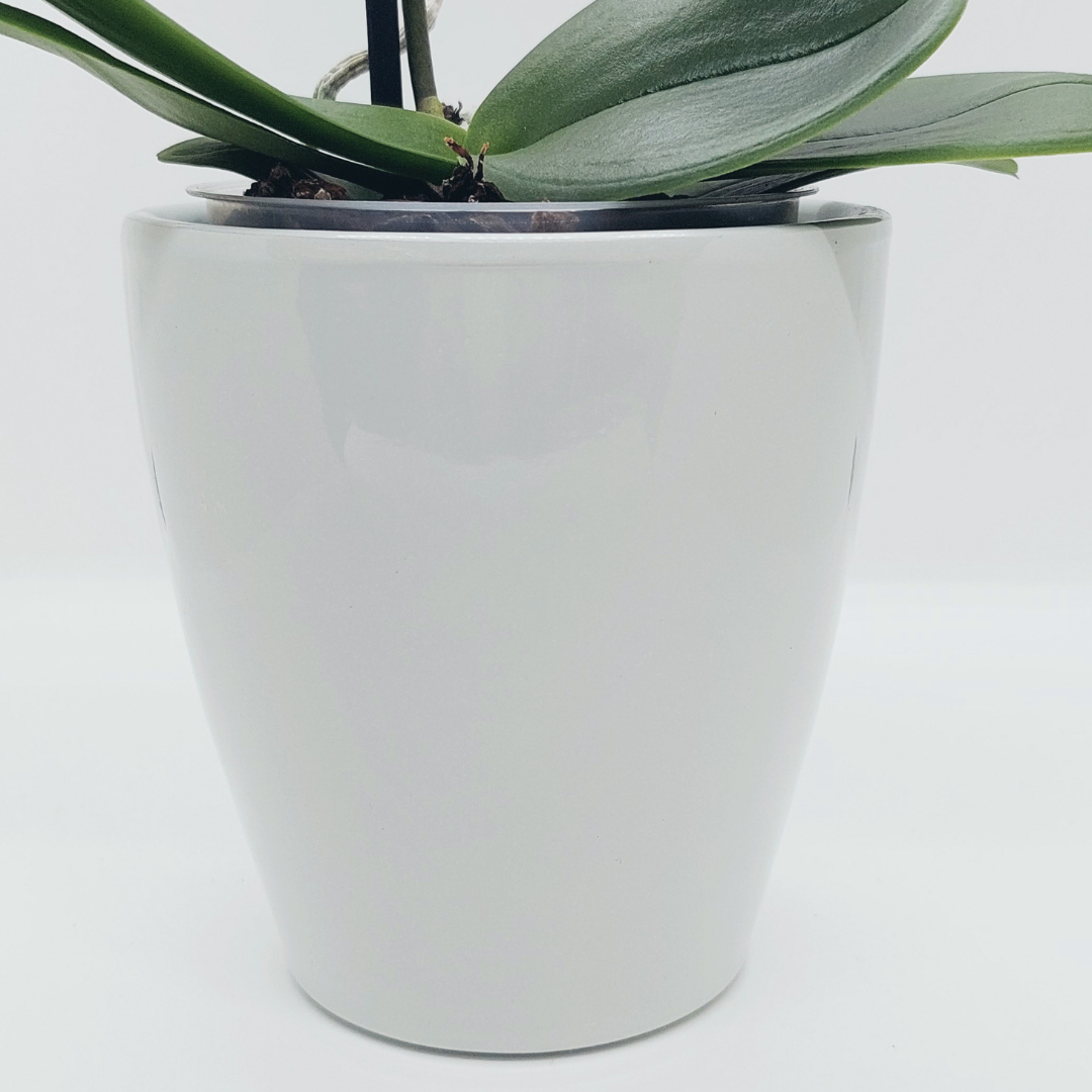 Vaso Ceramica "Milano" Ghiaccio 14cm