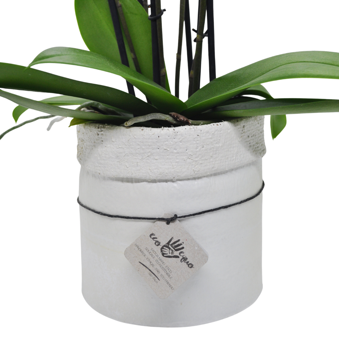 Vaso Collezione "Puglia" 9cm