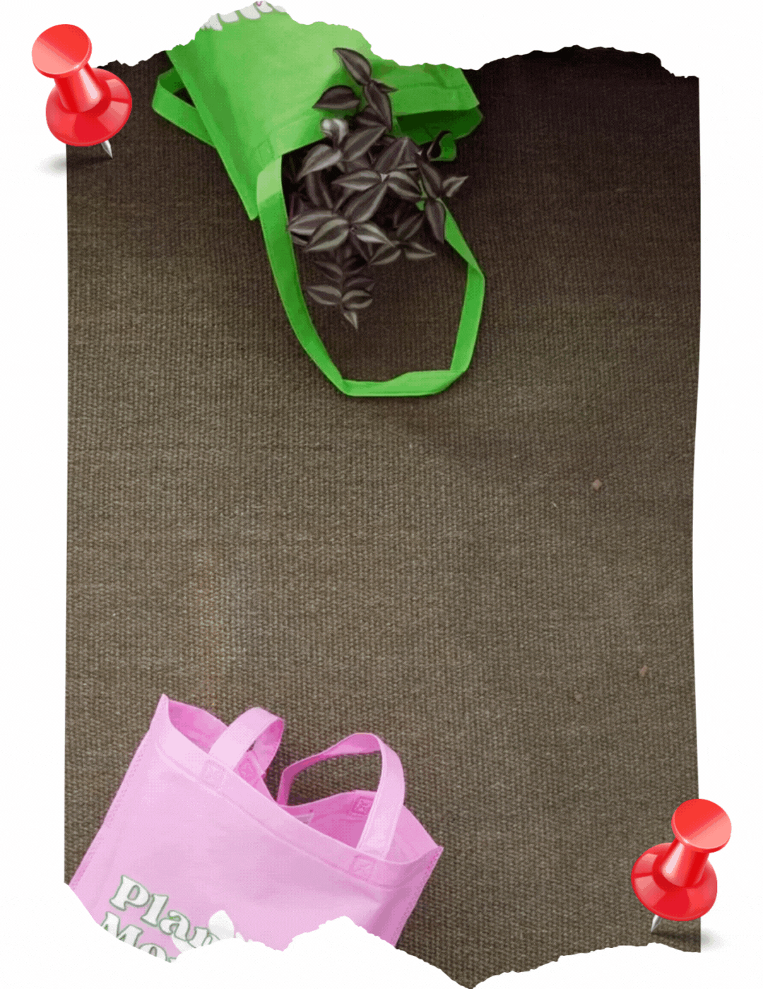 FLObag "Plant Mom"