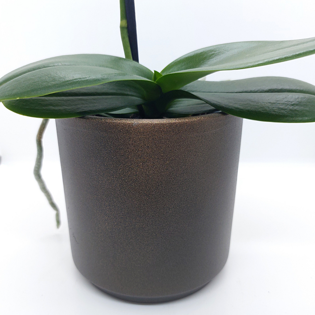 Vaso Ceramica "Capri" 9cm Bronzo