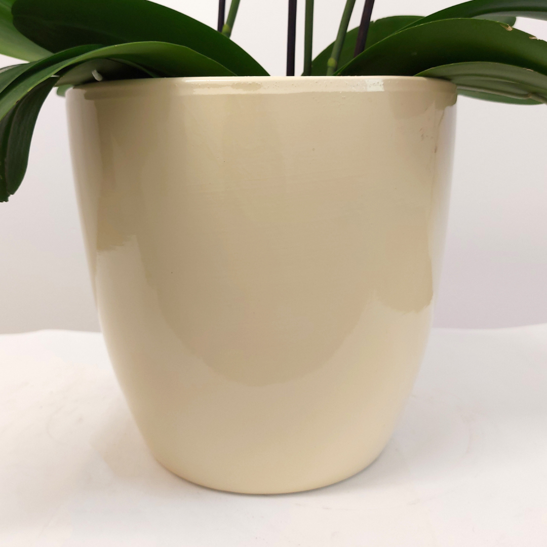 Vaso Ceramica "Milano" Crema 12cm