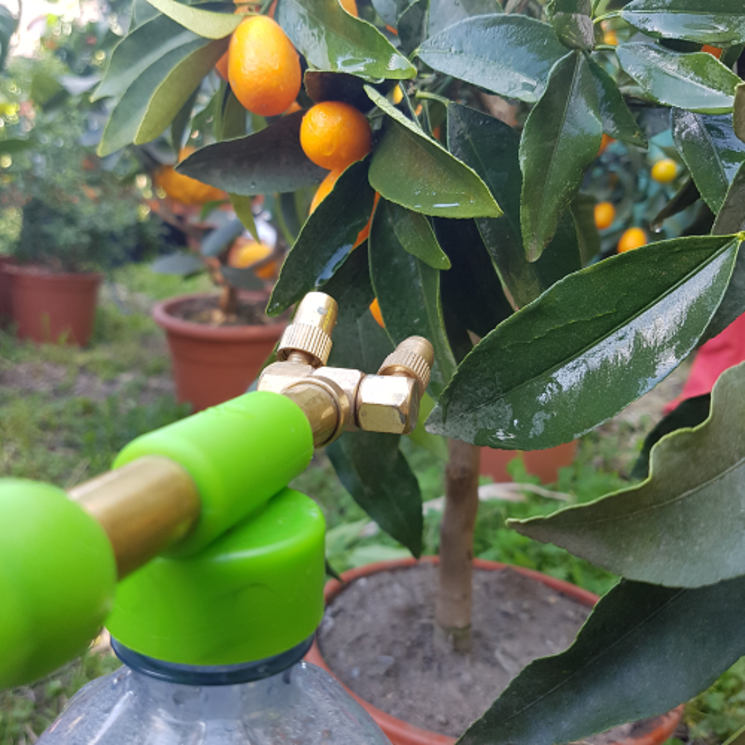 GardenSpray Nebulizzatore