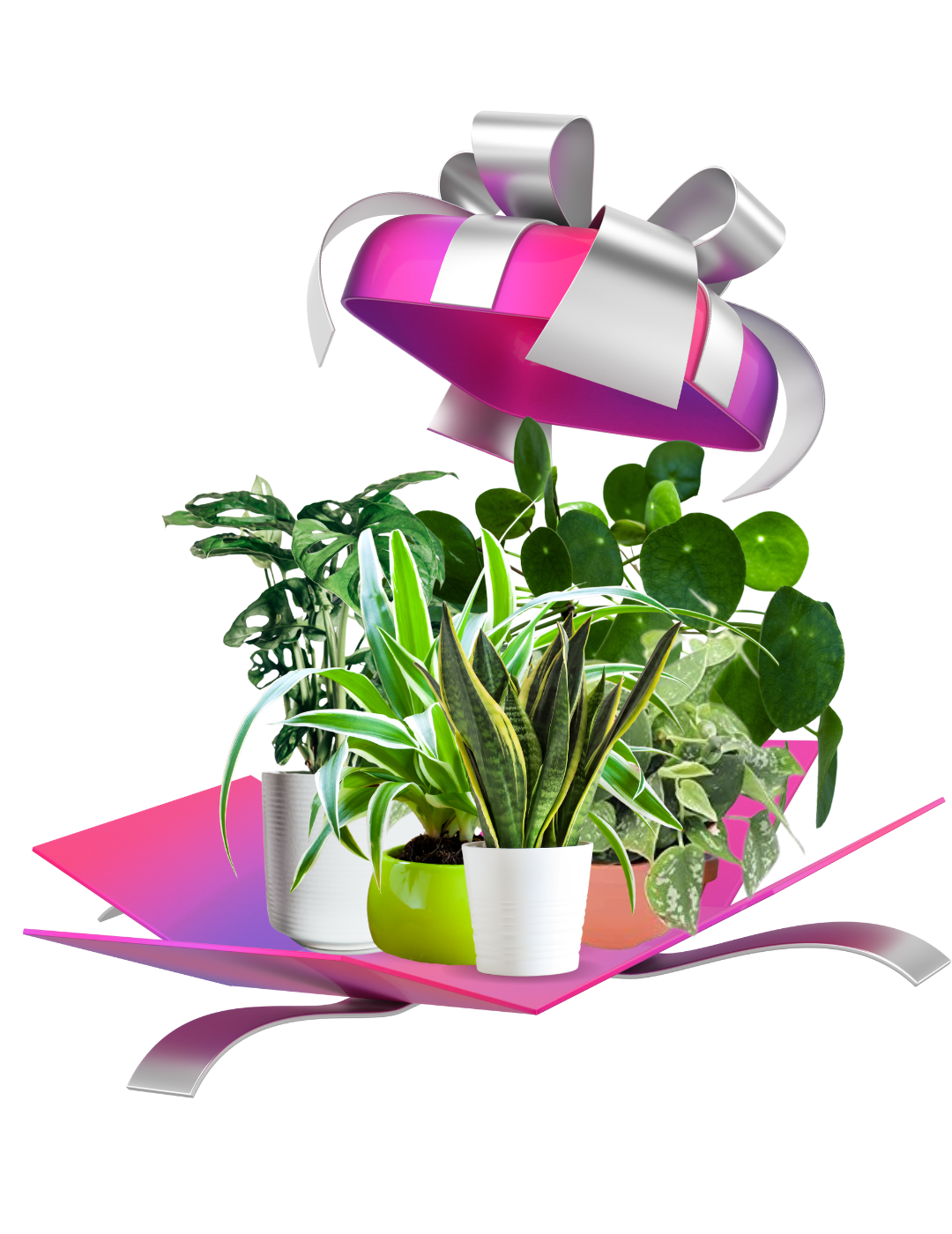 Mistery Box Verde Small