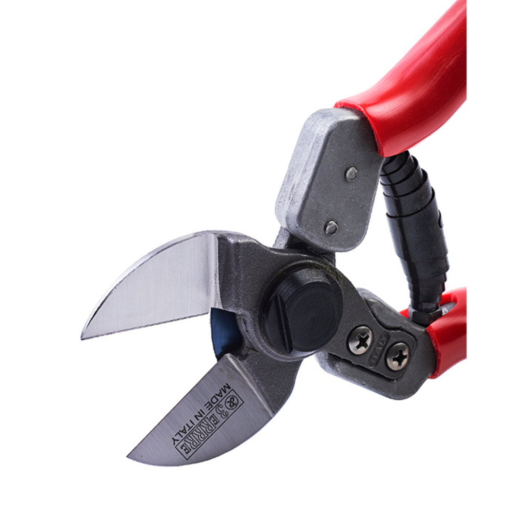 Cesoia Doppia Lama 21cm