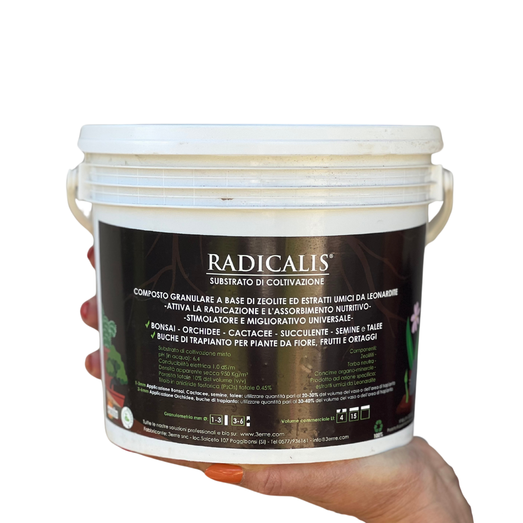 Radicalis 1-3 mm
