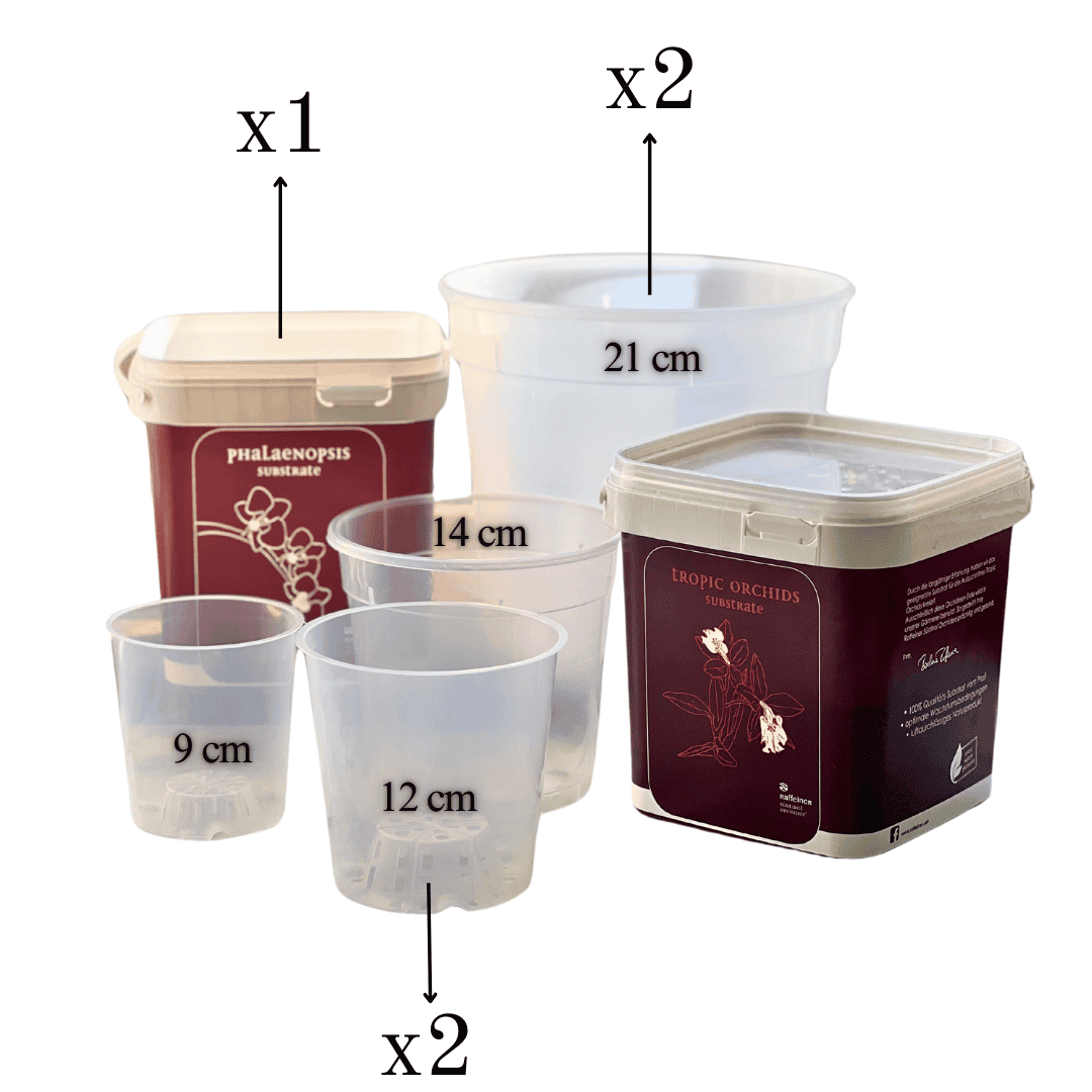 Kit Rinvaso Orchidee -
