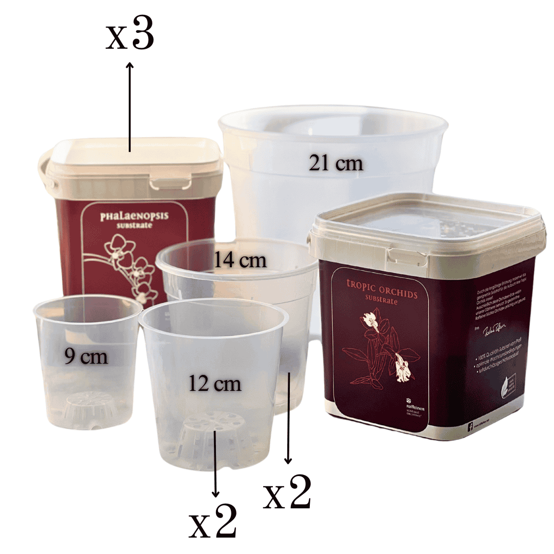 Kit Rinvaso Orchidee -