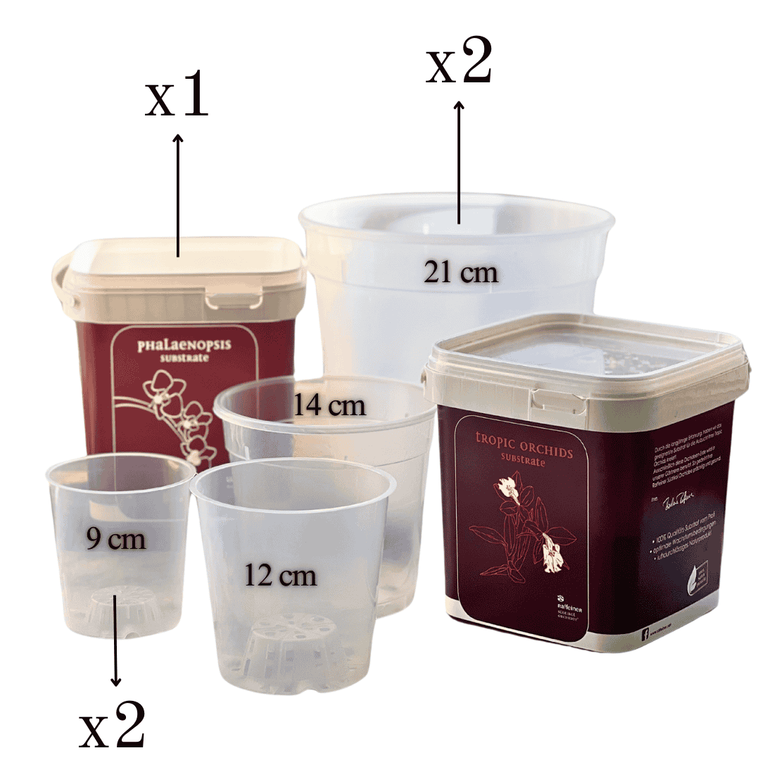 Kit Rinvaso Orchidee -