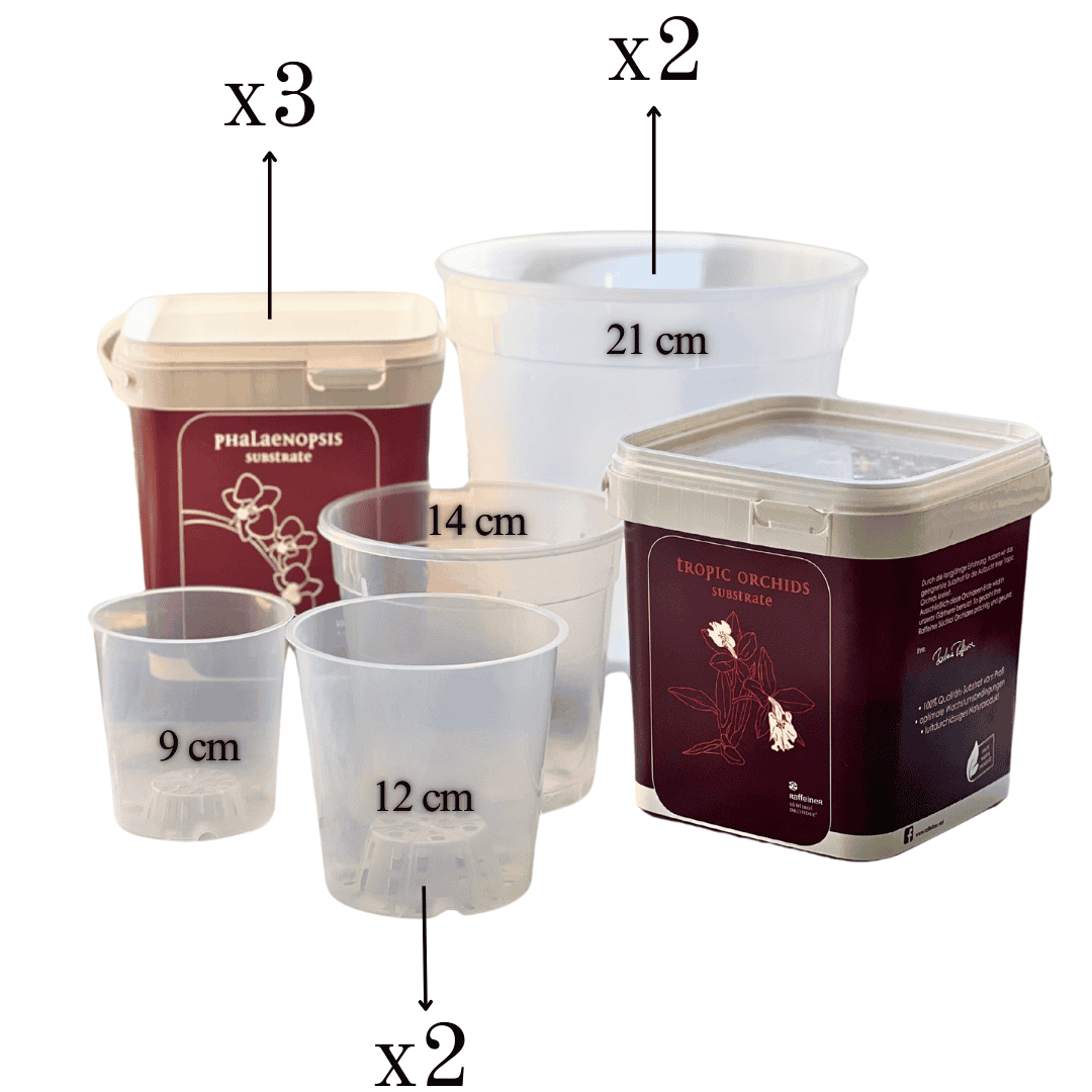 Kit Rinvaso Orchidee -