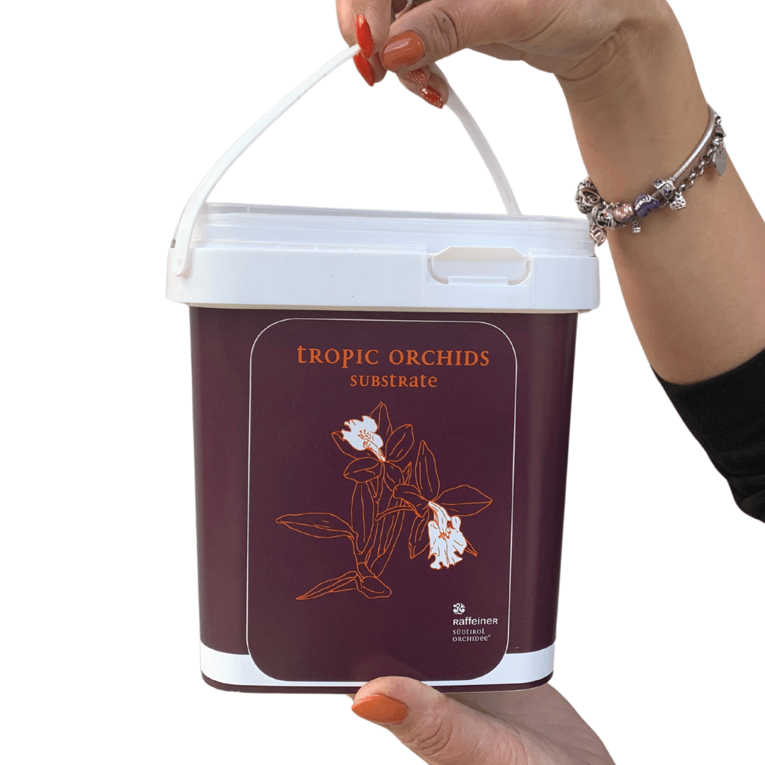 Terriccio (Bark) per Orchidee "Raffeiner" -