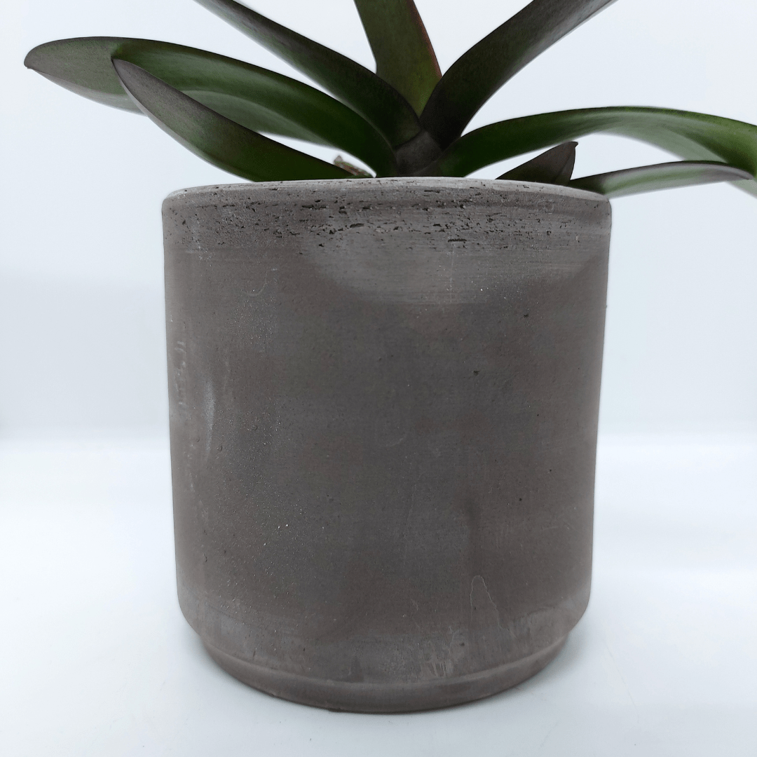 Vaso Ceramica "Etruria" -