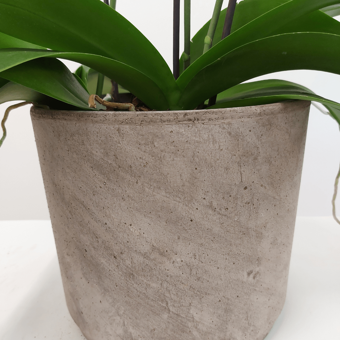 Vaso Ceramica "Etruria" -