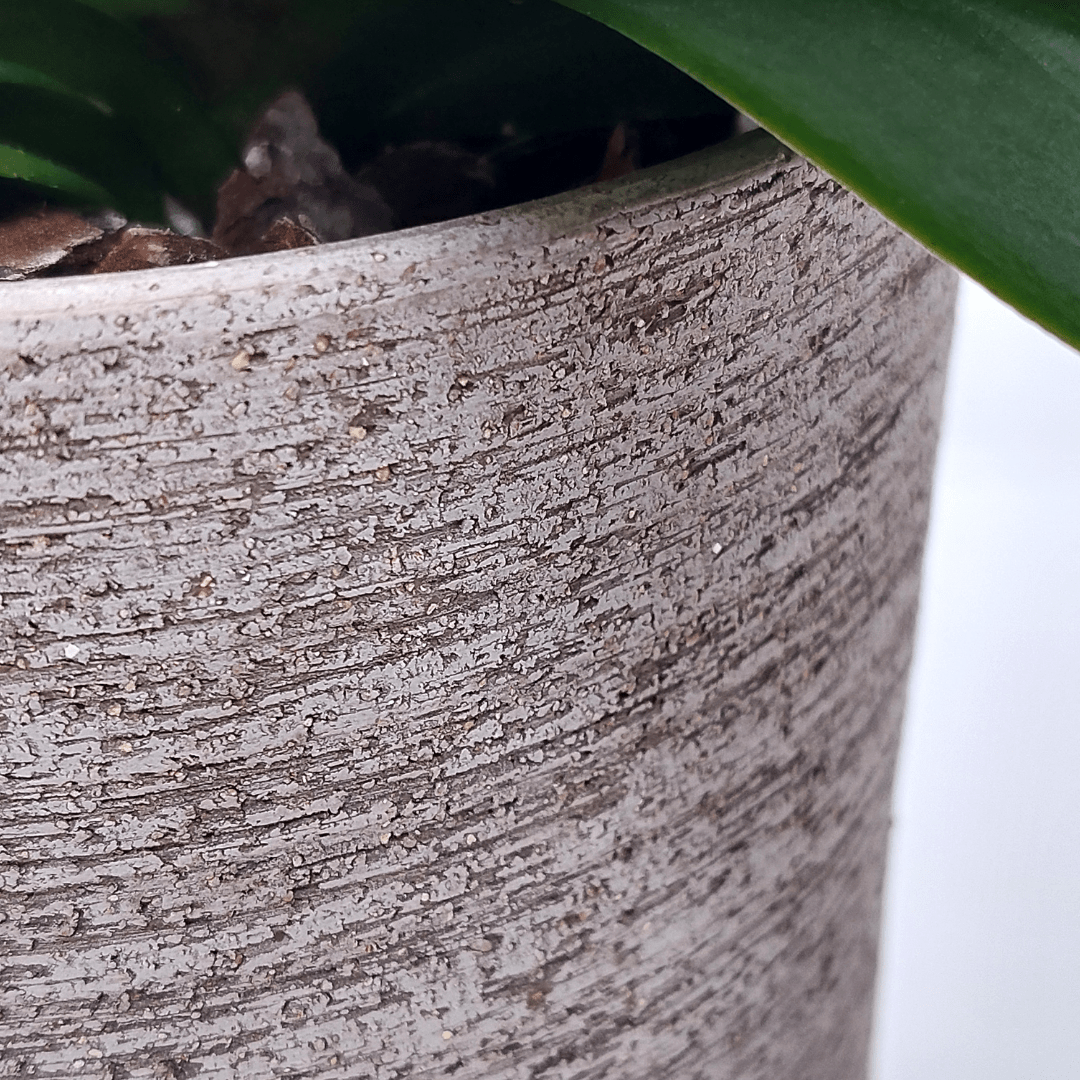 Vaso Ceramica "Etruria" -
