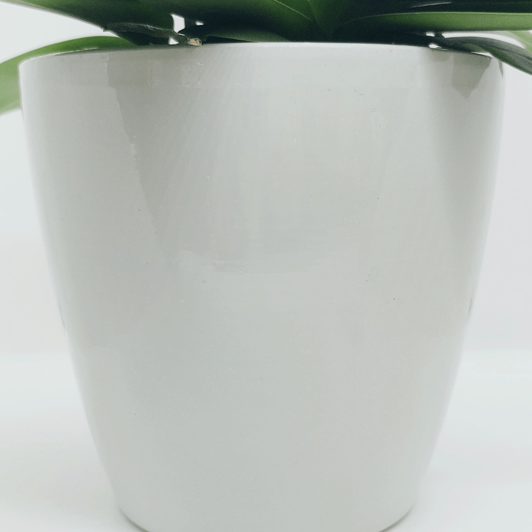 Vaso Ceramica "Milano" -