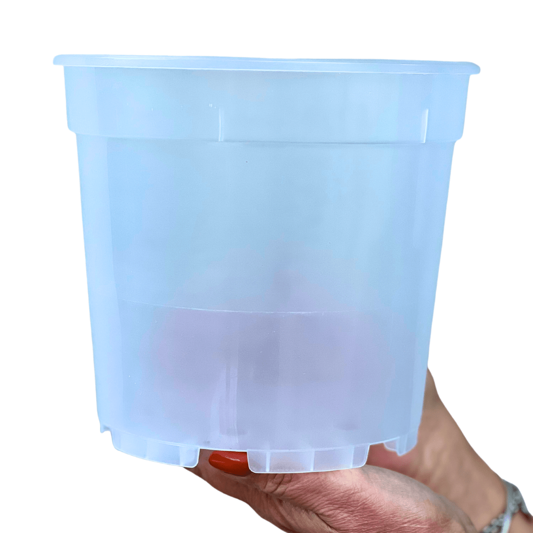 Vaso Plastica trasparente -