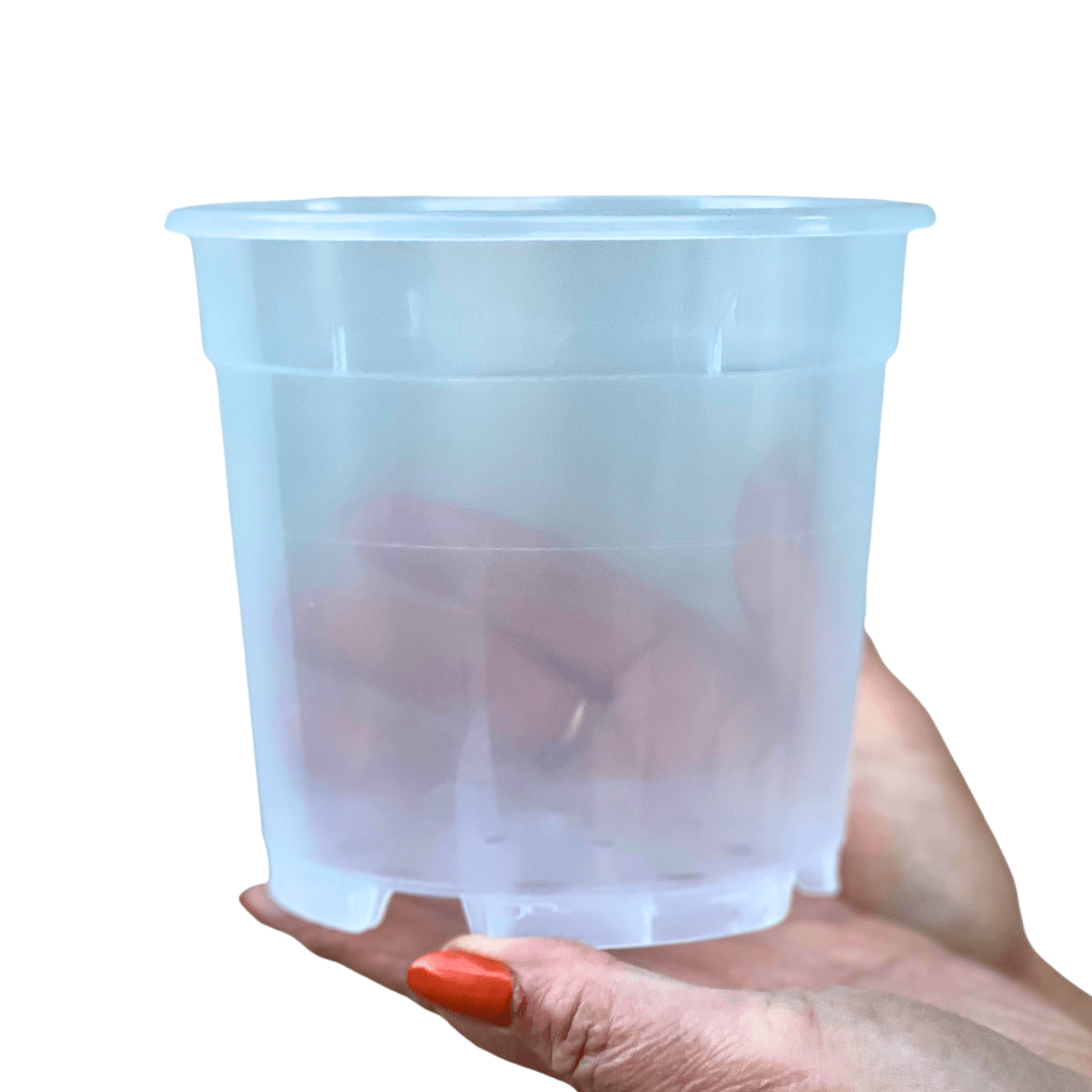 Vaso Plastica trasparente -