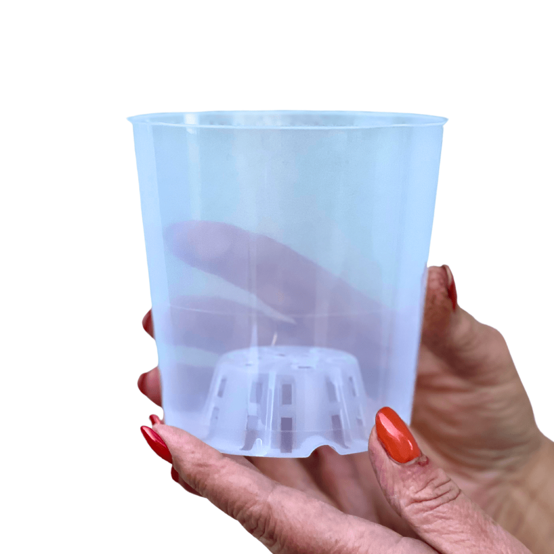 Vaso Plastica trasparente -