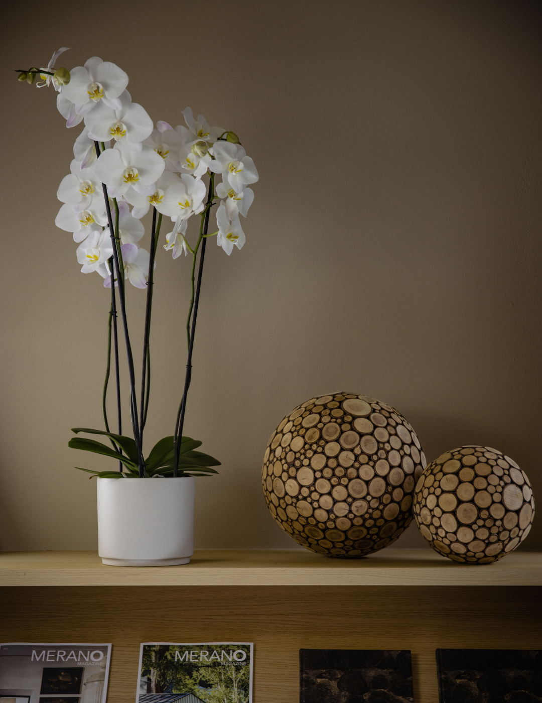 Phalaenopsis Yukidian  Orchidea bianca Spedita dal produttore – Flogheter