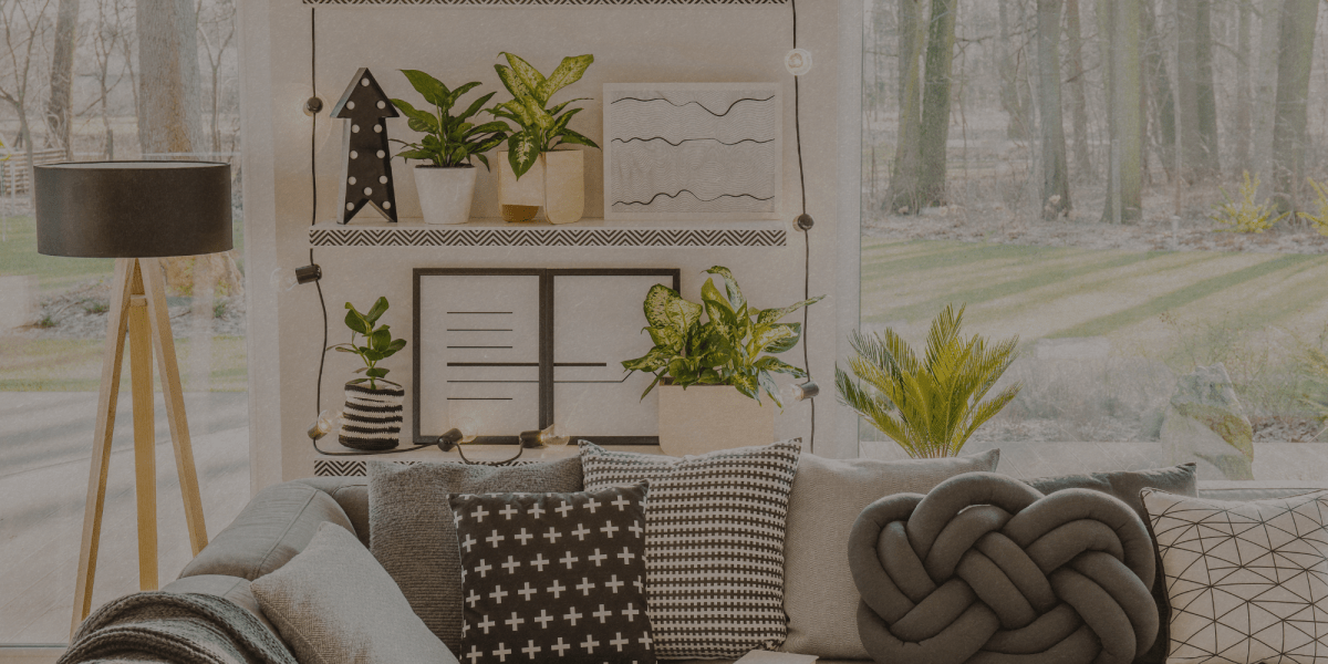 Perchè è importante avere piante in casa? - Flogheter