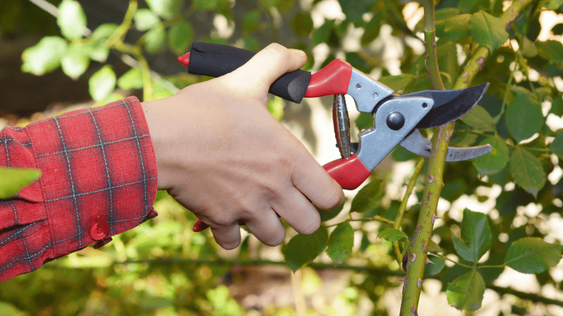 Accessori da Giardinaggio - Flogheter