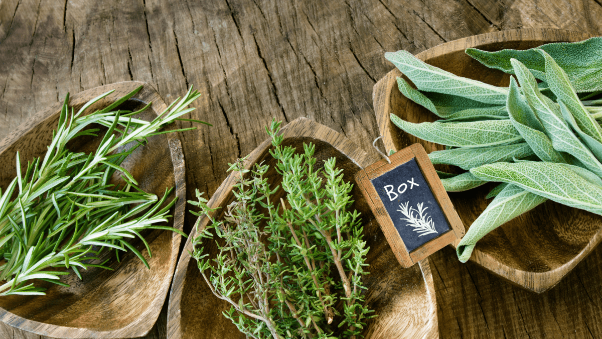 Box Aromatiche Mono-Pianta - Flogheter