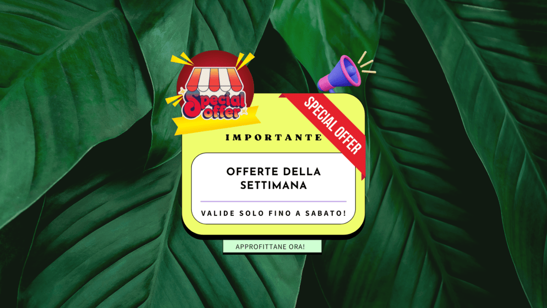 Offerte imperdibili! - Flogheter