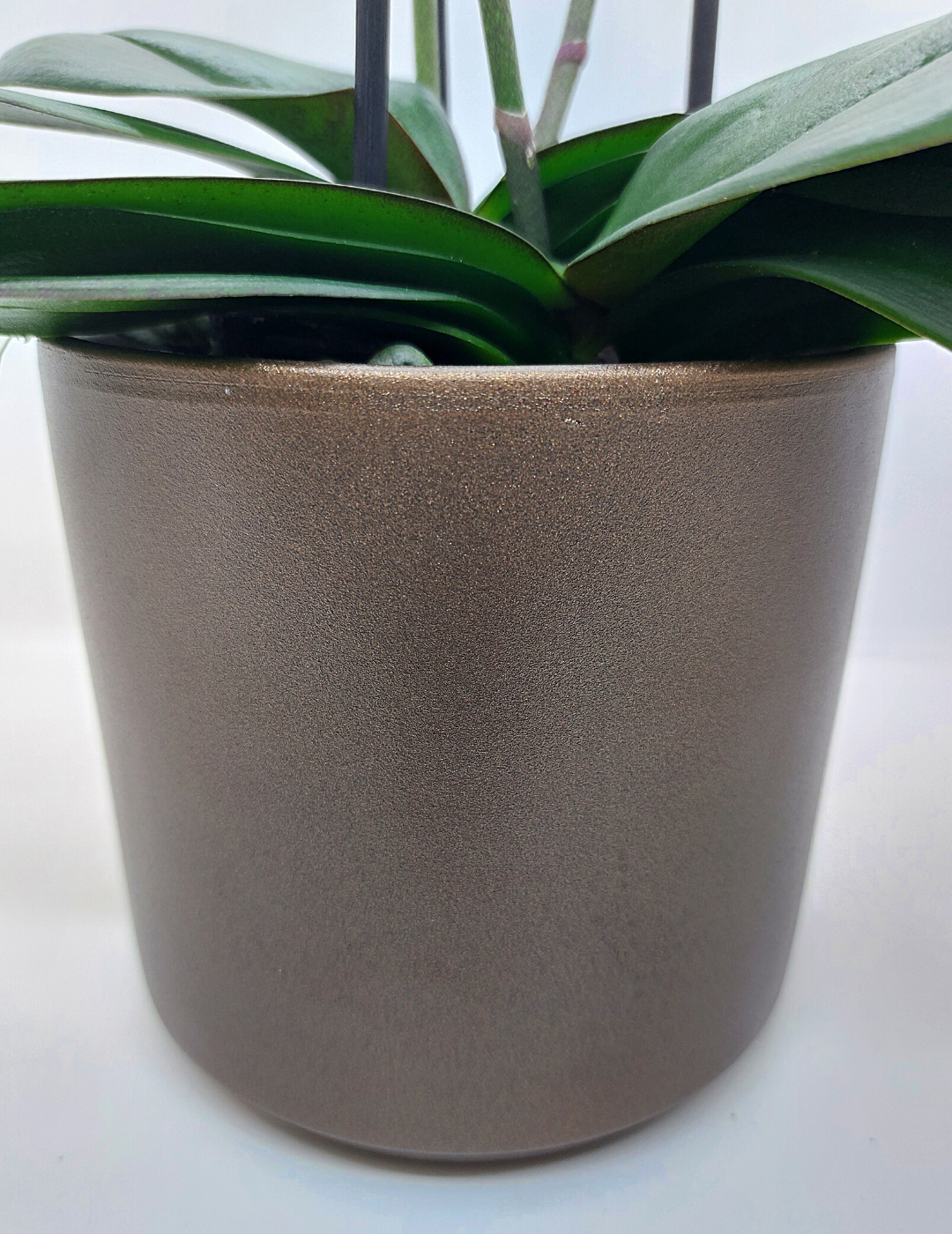 Vaso Ceramica &quot;Capri&quot; Bronzo 12cm