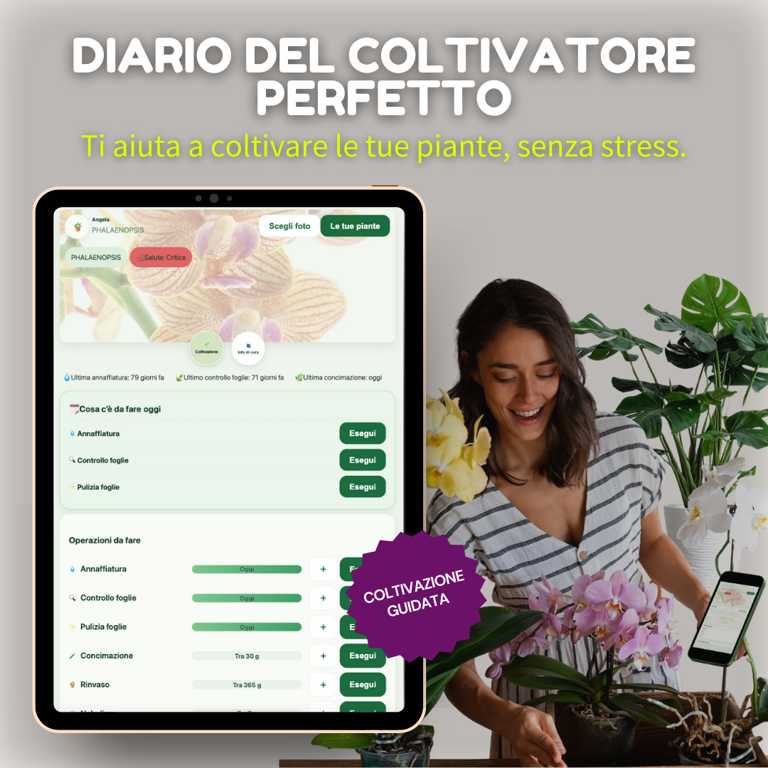 Box del coltivatore perfetto