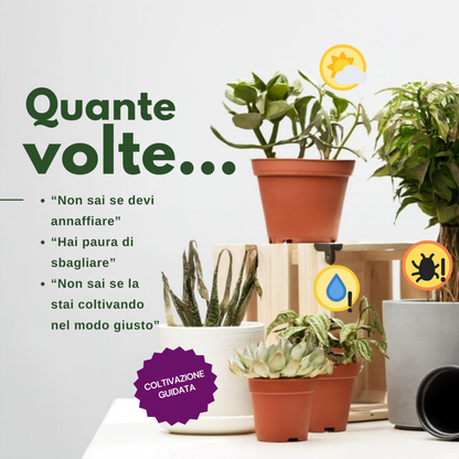 Da 0 a Pollice Verde