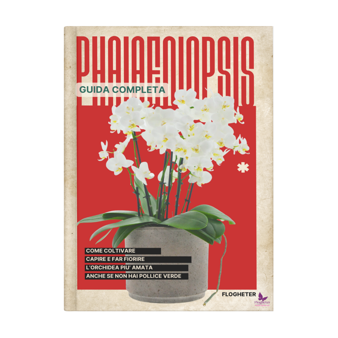 Guida Completa - PHALAENOPSIS