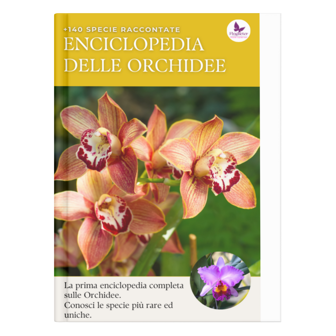 Enciclopedia delle Orchidee