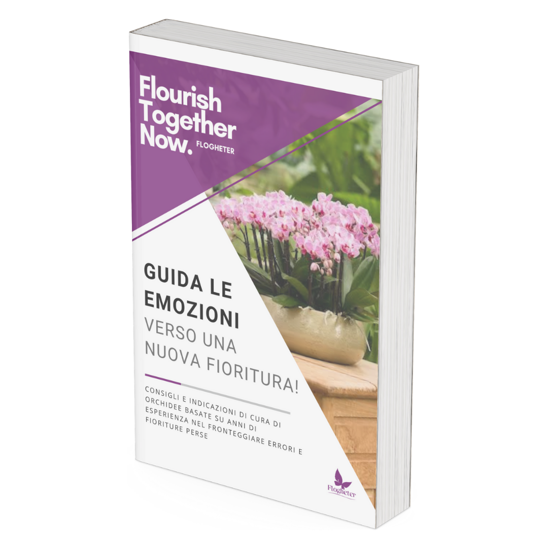 Ebook: Guida le emozioni verso una nuova fioritura