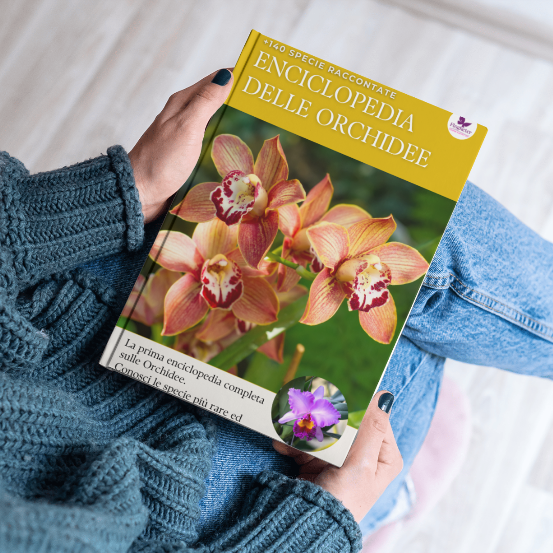 Enciclopedia delle Orchidee GRATIS