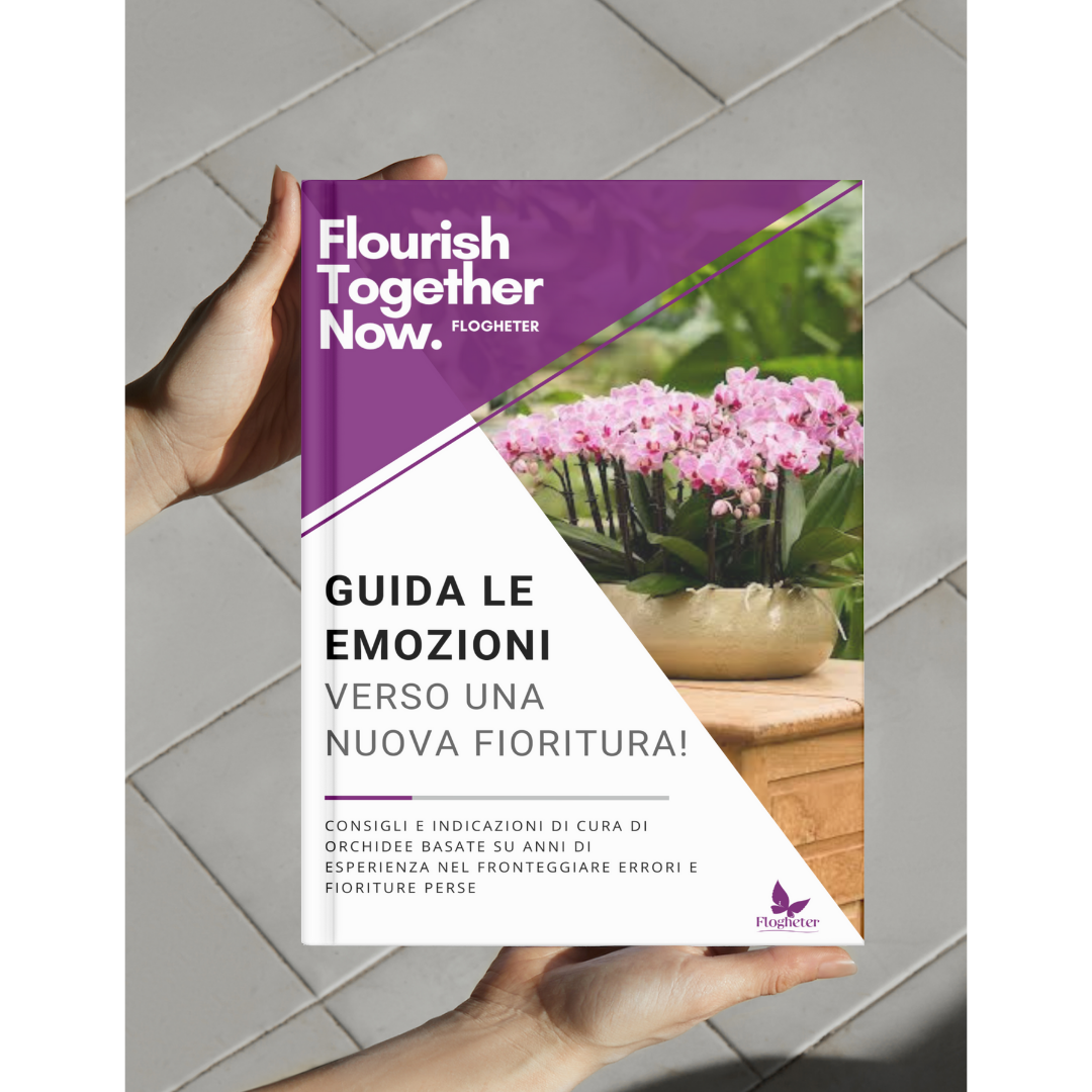 Da 0 a Pollice Verde