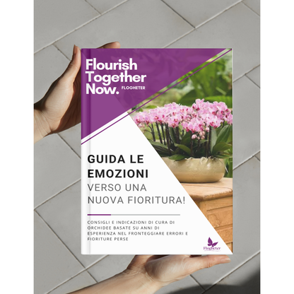 Da 0 a Pollice Verde