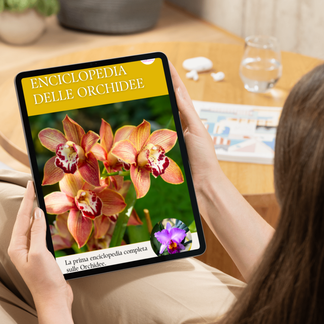 Enciclopedia delle Orchidee