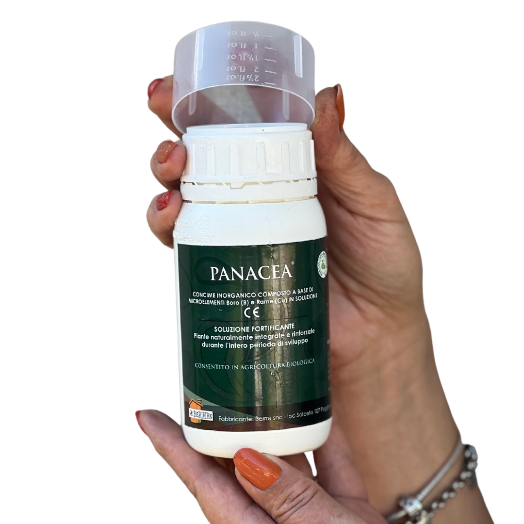 Panacea