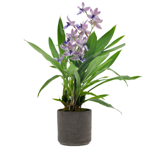 fleur ami | Pianta artificiale di orchidea, 20 fiori, altezza 92 cm, rosa | Alta qualità e qualità premium
